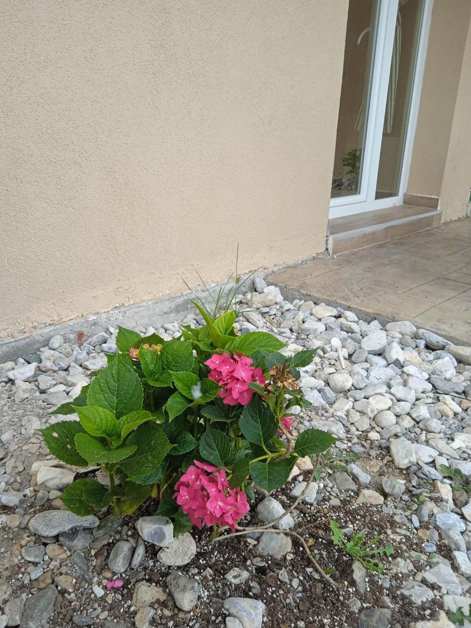 Sylias Village Skala Korinou Екстер'єр фото